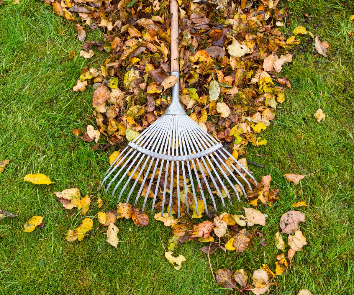 Leaf removal